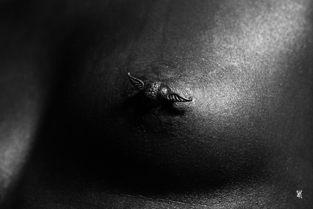 anais-5680